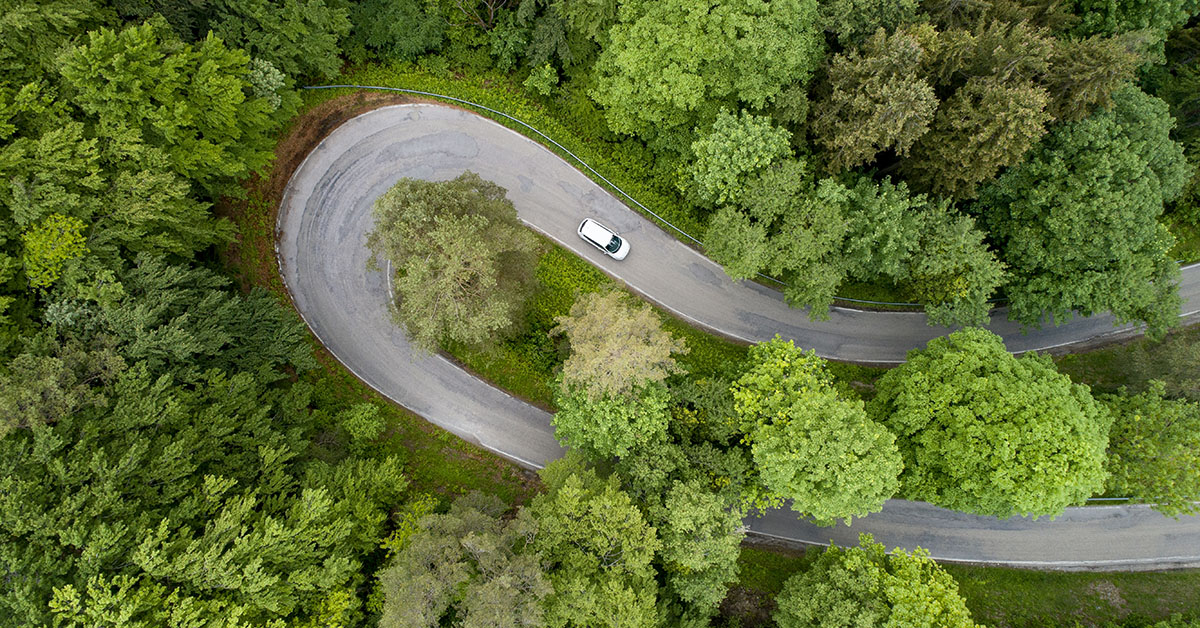 arial view of a winding forest road